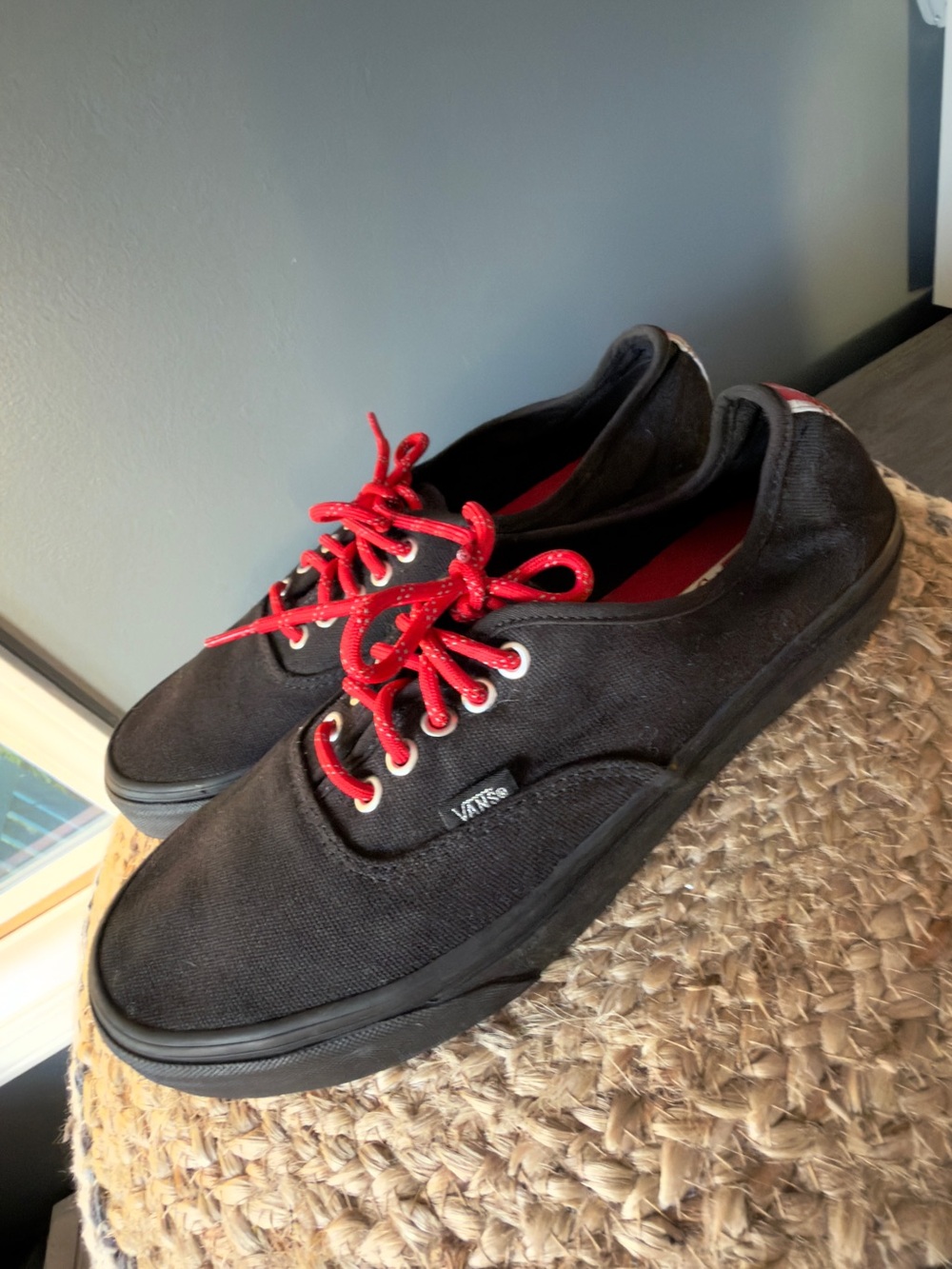 Vans Authentic Low Top Sneakers OTW